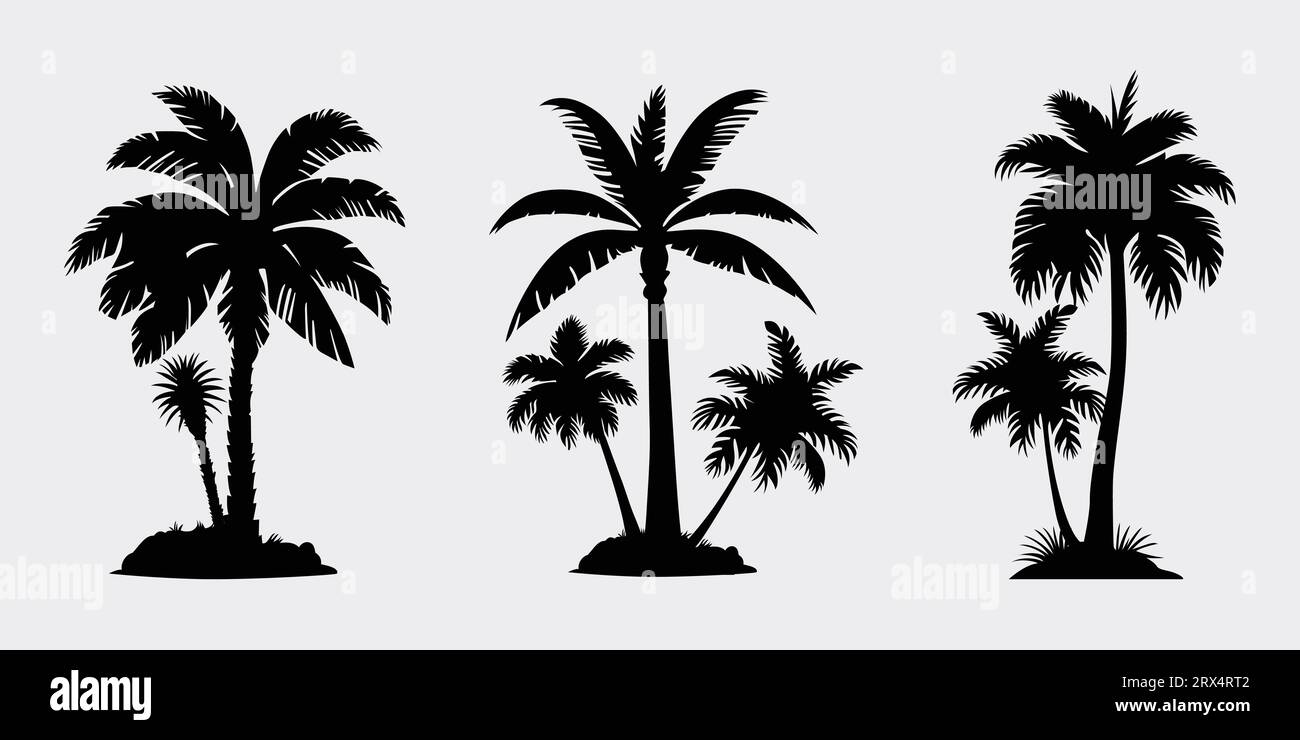 Palm tree silhouettes, palm tree summer logo template, Stock Vector