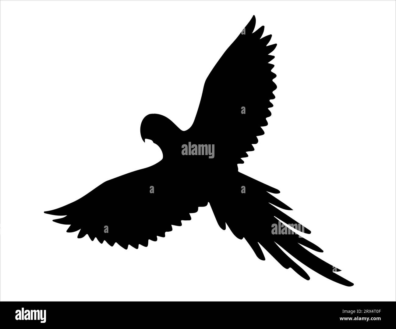 Parrot silhouette vector art white background Stock Vector Image & Art ...