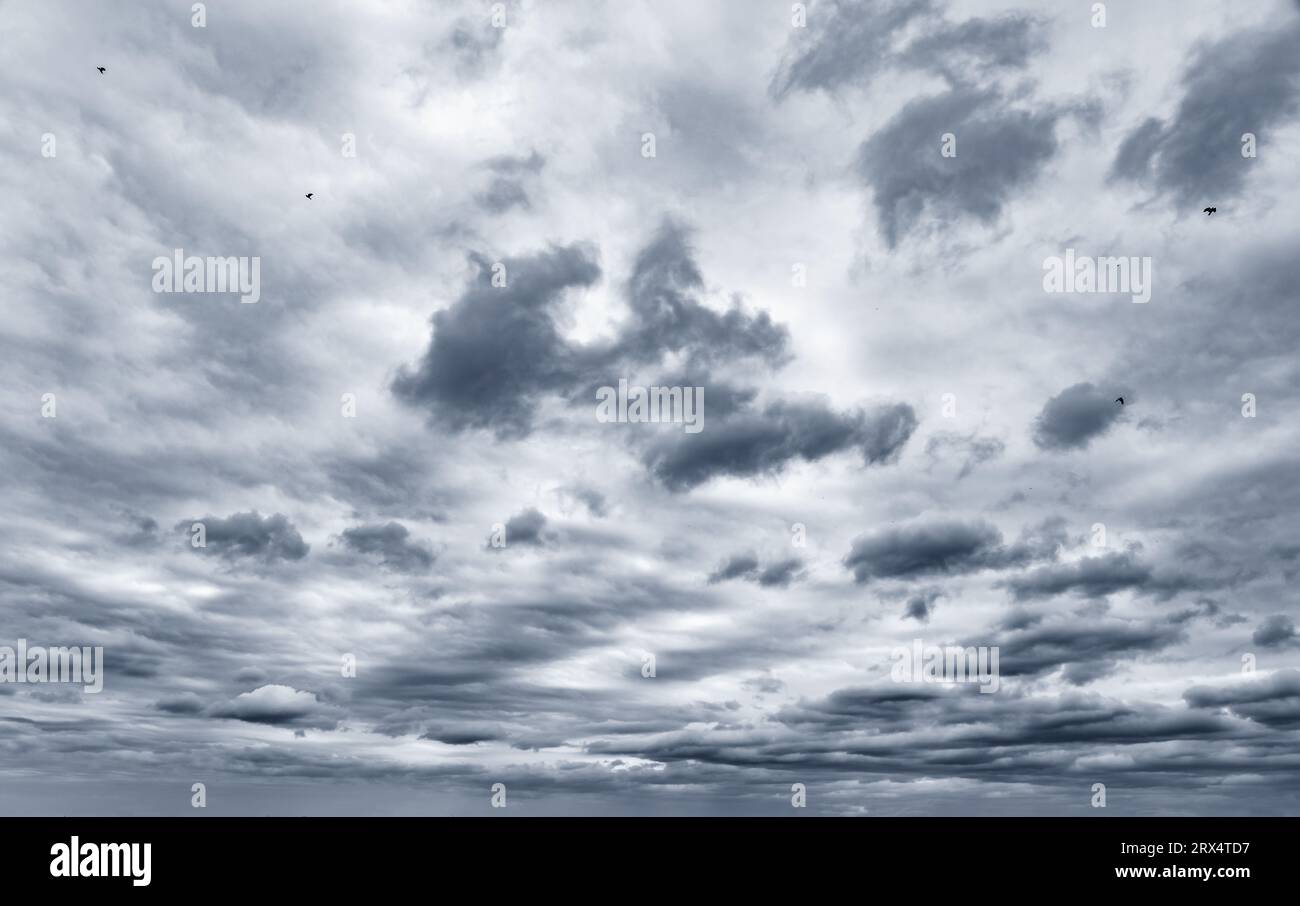 Dark sky with thick thunderclouds Stock Photo