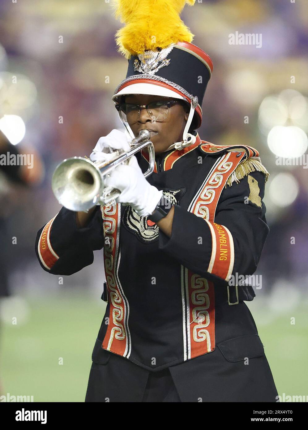 Grambling tiger hires stock photography and images Alamy