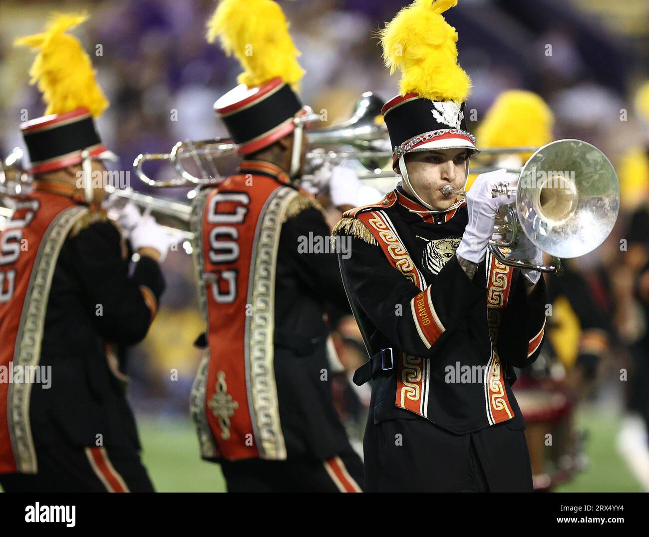 Grambling tiger hires stock photography and images Alamy