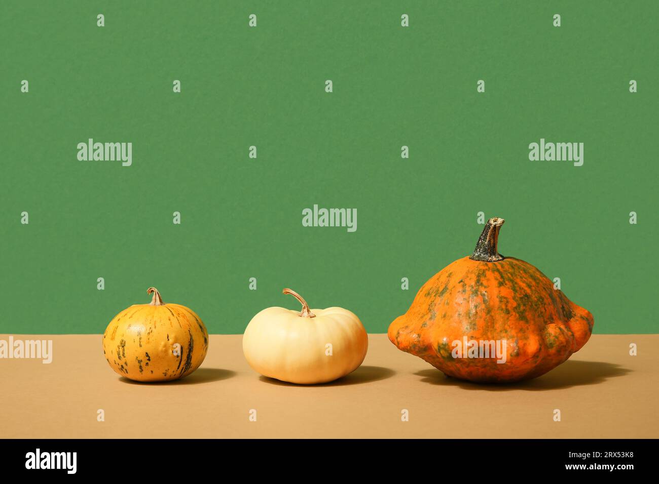 Different fresh pumpkins on colorful background Stock Photo - Alamy