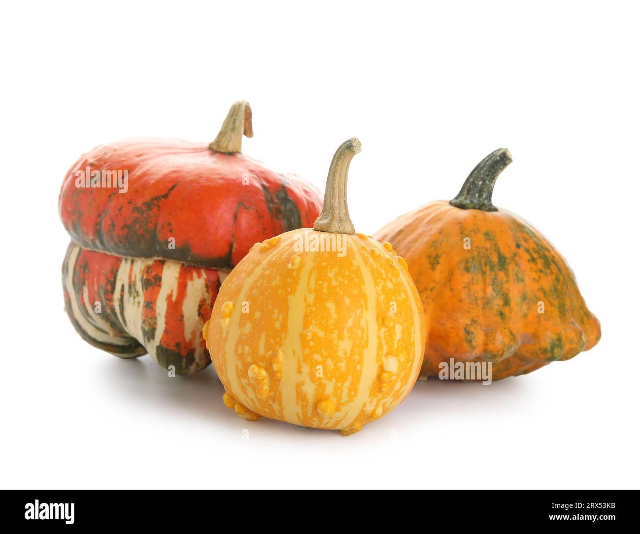 Different fresh pumpkins on white background Stock Photo - Alamy