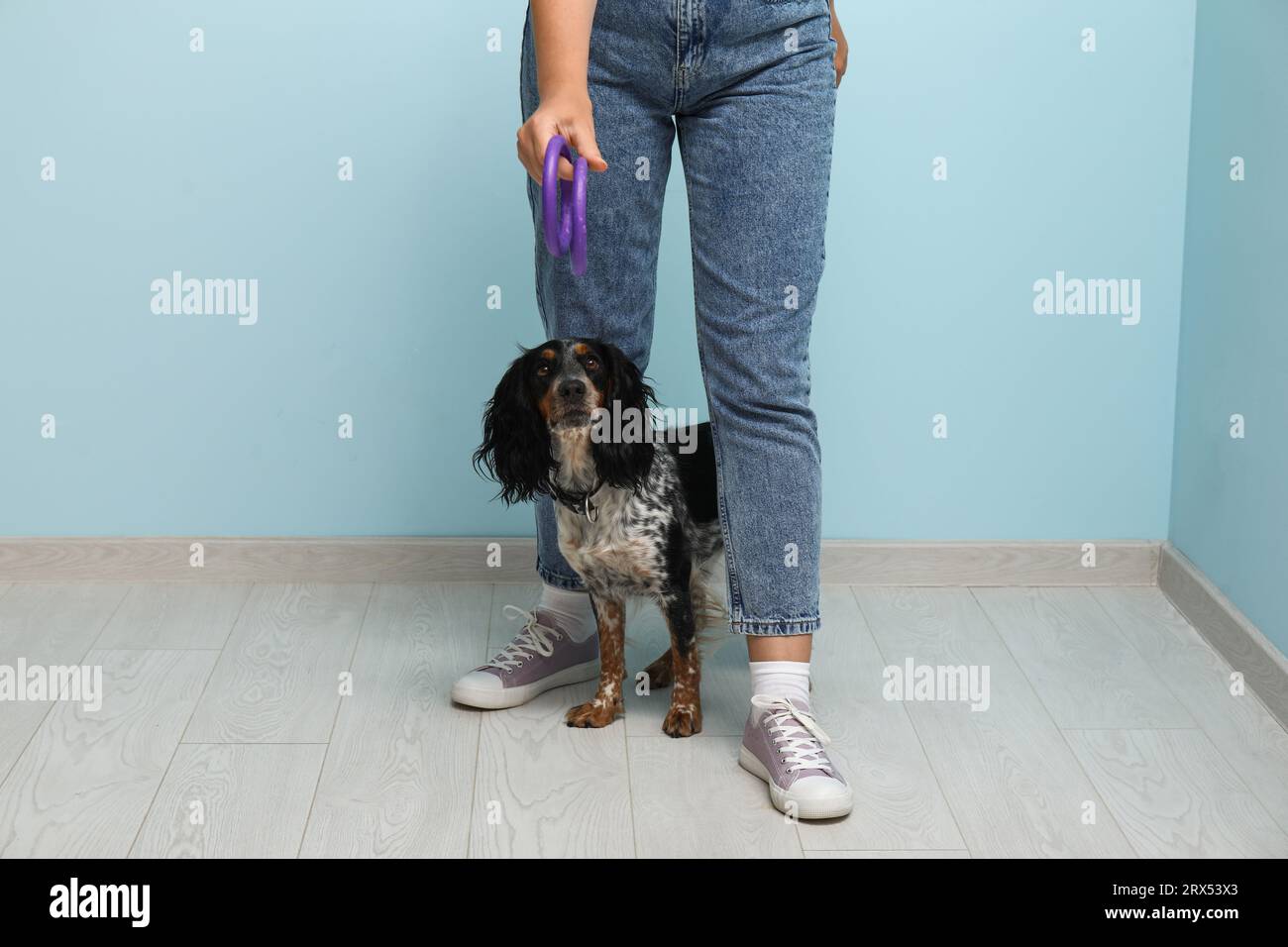 Dog handler training pet on blue background Stock Photo - Alamy