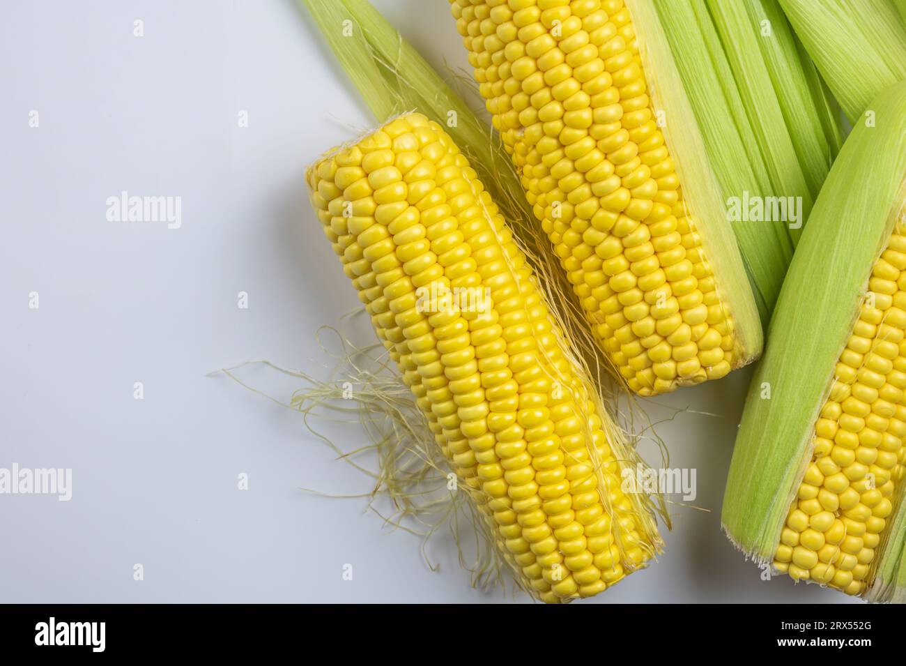 Corn on white background Stock Photo