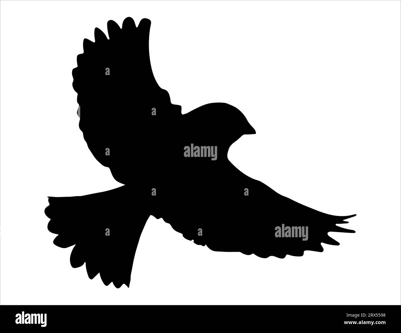 Flying bird silhouette vector art white background Stock Vector Image ...