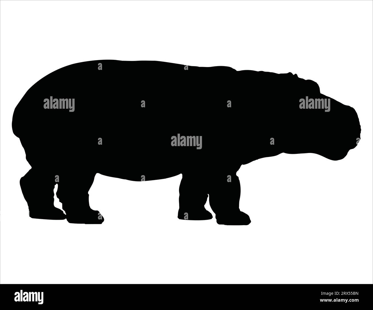 Hippopotamus silhouette vector art white background Stock Vector Image