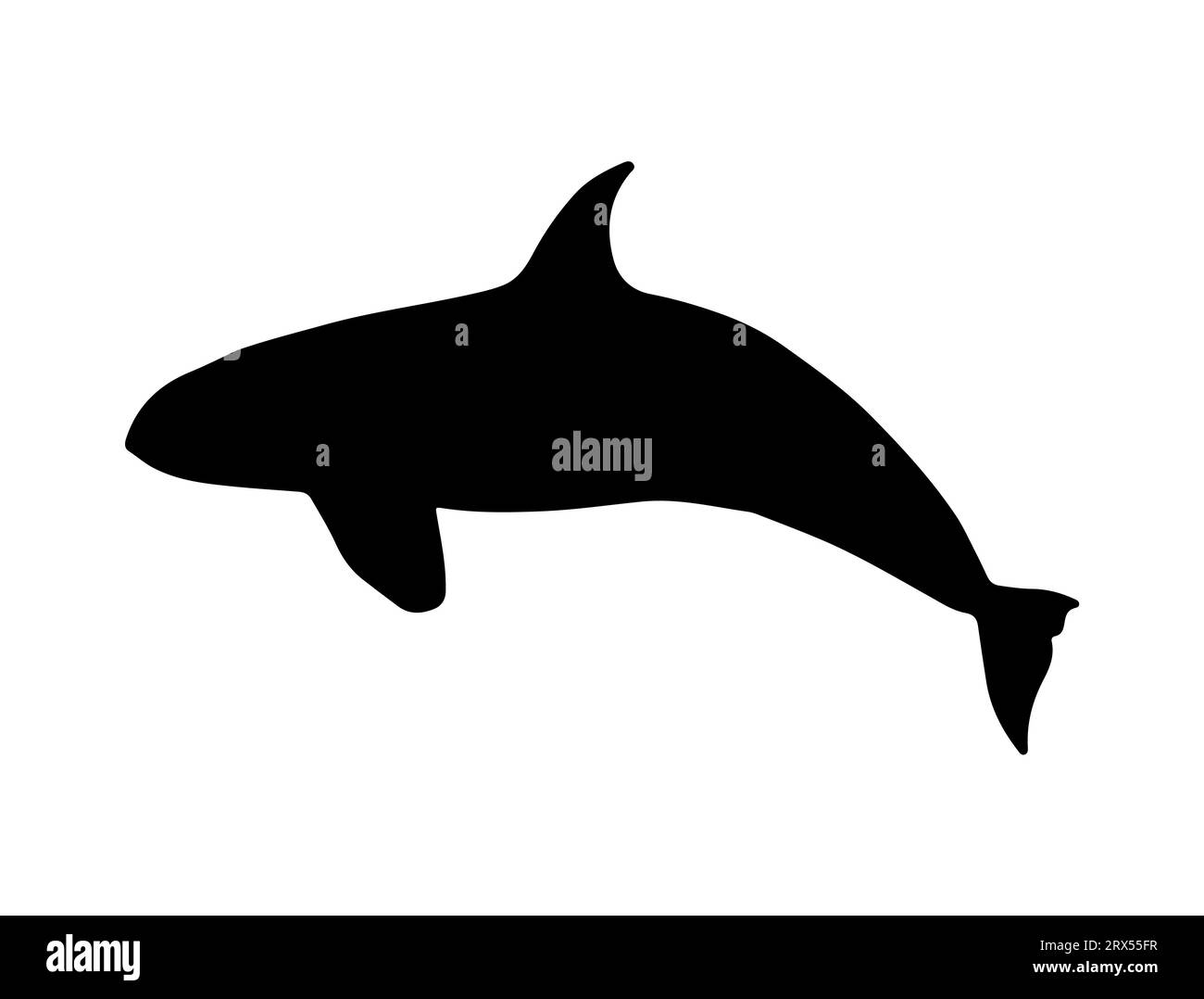 Killer whale silhouette vector art white background Stock Vector