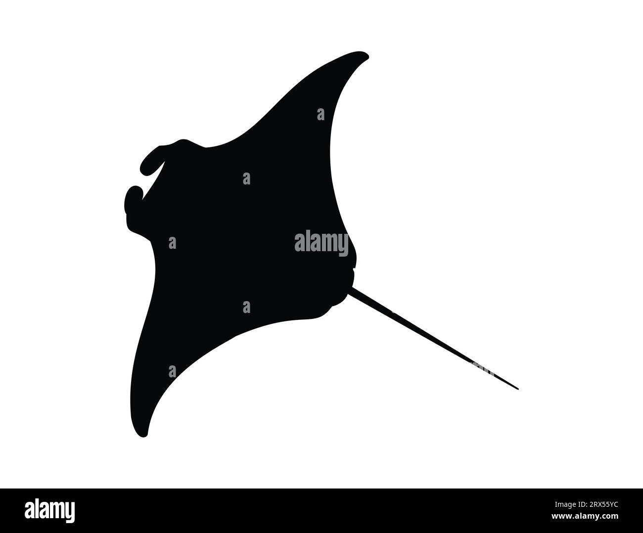 Manta ray silhouette vector art white background Stock Vector Image ...
