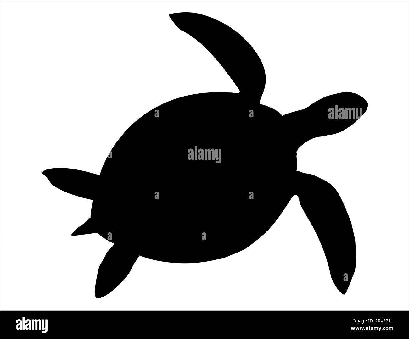 Sea turtle silhouette vector art white background Stock Vector Image ...