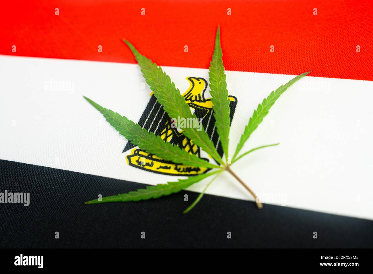 a hemp leaf on background of the iraq flag. Concept of legalization and changes in legislation regarding cultivation and use of marijuana in the count Stock Photo