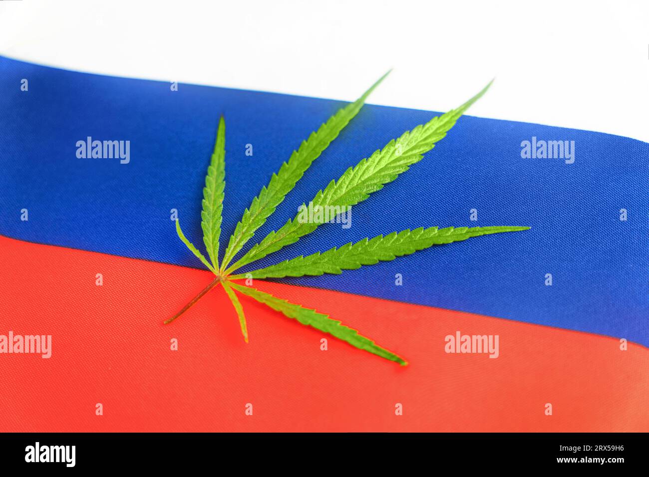 a hemp leaf on background of the russian flag. Concept of legalization and changes in