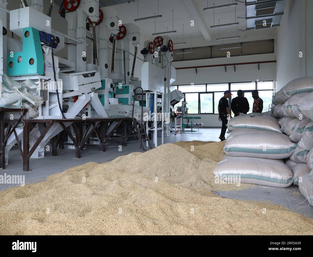 Abuja, Nigerian Agricultural Technology Demonstration Center in Abuja. 6th Dec, 2022. This photo taken on Sept. 19, 2023 shows a rice milling processing room at the Nigerian Agricultural Technology Demonstration Center in Abuja, Nigeria. The China-aided Nigerian Agricultural Technology Demonstration Center is located in the CGCOC Agriculture Abuja High-tech Industrial Park in Abuja. Construction of the project started in March 2021 and completed in Sept. 2022. China handed over the project to Nigeria on Dec. 6, 2022. Credit: Dong Jianghui/Xinhua/Alamy Live News Stock Photo