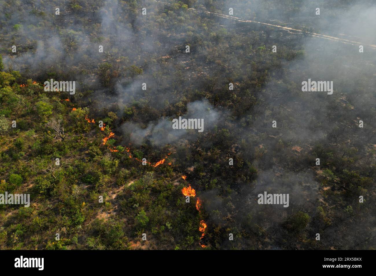 Bahia. 21st Sep, 2023. This aerial photo taken on Sept. 21, 2023 shows an extensive area of the Serra das Bandeiras forest on fire in Barreiras, western Bahia, Brazil. According to the National Center for Prevention and Combat of Forest Fires, the fires are being fanned by strong winds, high temperatures, and dry weather. Credit: Lucio Tavora/Xinhua/Alamy Live News Stock Photo