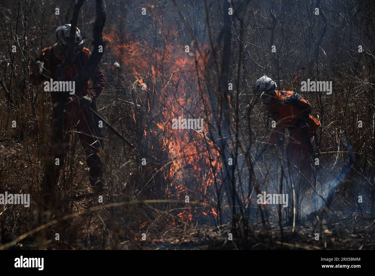 Bahia, Brazil. 22nd Sep, 2023. Firefighters combat fire in the Serra do Coco forest area in Riachao das Neves, Bahia state, Brazil, Sept. 22, 2023. According to the National Center for Prevention and Combat of Forest Fires, the fires are being fanned by strong winds, high temperatures, and dry weather. Credit: Lucio Tavora/Xinhua/Alamy Live News Stock Photo