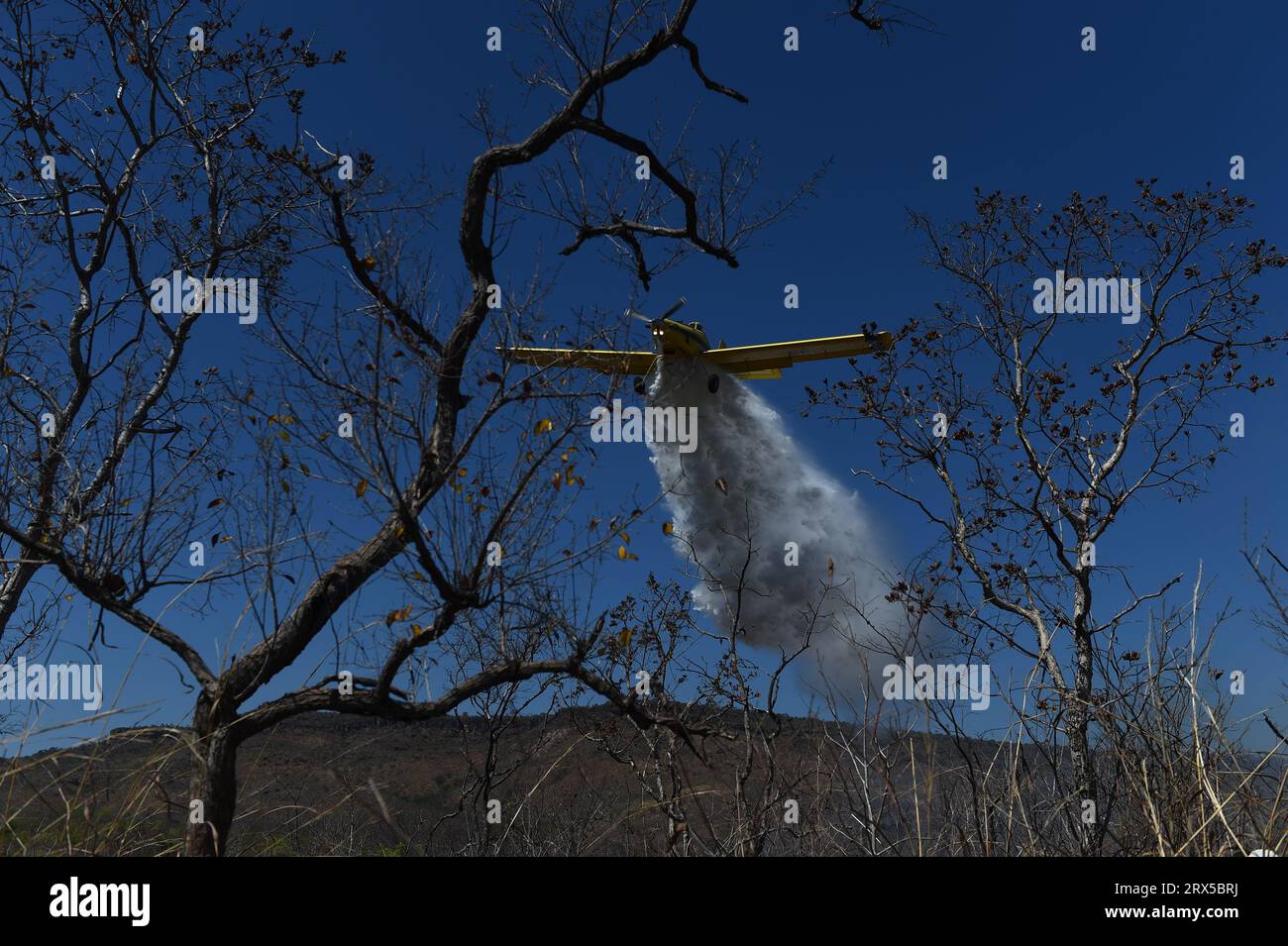 Bahia, Brazil. 22nd Sep, 2023. A plane drops water on a fire in the Serra do Coco forest area in Riachao das Neves, Bahia state, Brazil, Sept. 22, 2023. According to the National Center for Prevention and Combat of Forest Fires, the fires are being fanned by strong winds, high temperatures, and dry weather. Credit: Lucio Tavora/Xinhua/Alamy Live News Stock Photo