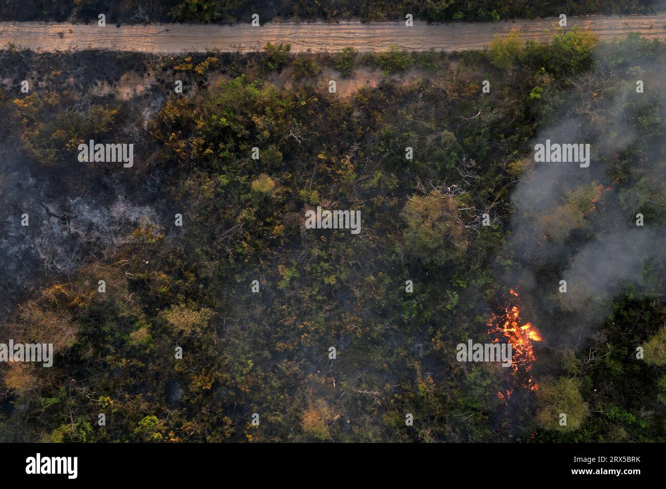 Bahia. 21st Sep, 2023. This aerial photo taken on Sept. 21, 2023 shows an extensive area of the Serra das Bandeiras forest on fire in Barreiras, western Bahia, Brazil. According to the National Center for Prevention and Combat of Forest Fires, the fires are being fanned by strong winds, high temperatures, and dry weather. Credit: Lucio Tavora/Xinhua/Alamy Live News Stock Photo