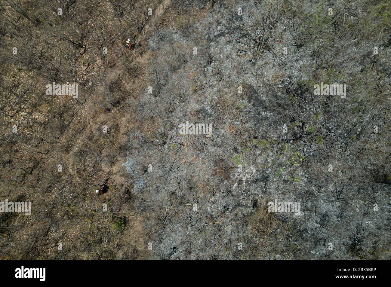 Bahia. 22nd Sep, 2023. This aerial photo taken on Sept. 22, 2023 shows a fire-stricken area in Riachao Das Neves, western Bahia, Brazil. According to the National Center for Prevention and Combat of Forest Fires, the fires are being fanned by strong winds, high temperatures, and dry weather. Credit: Lucio Tavora/Xinhua/Alamy Live News Stock Photo