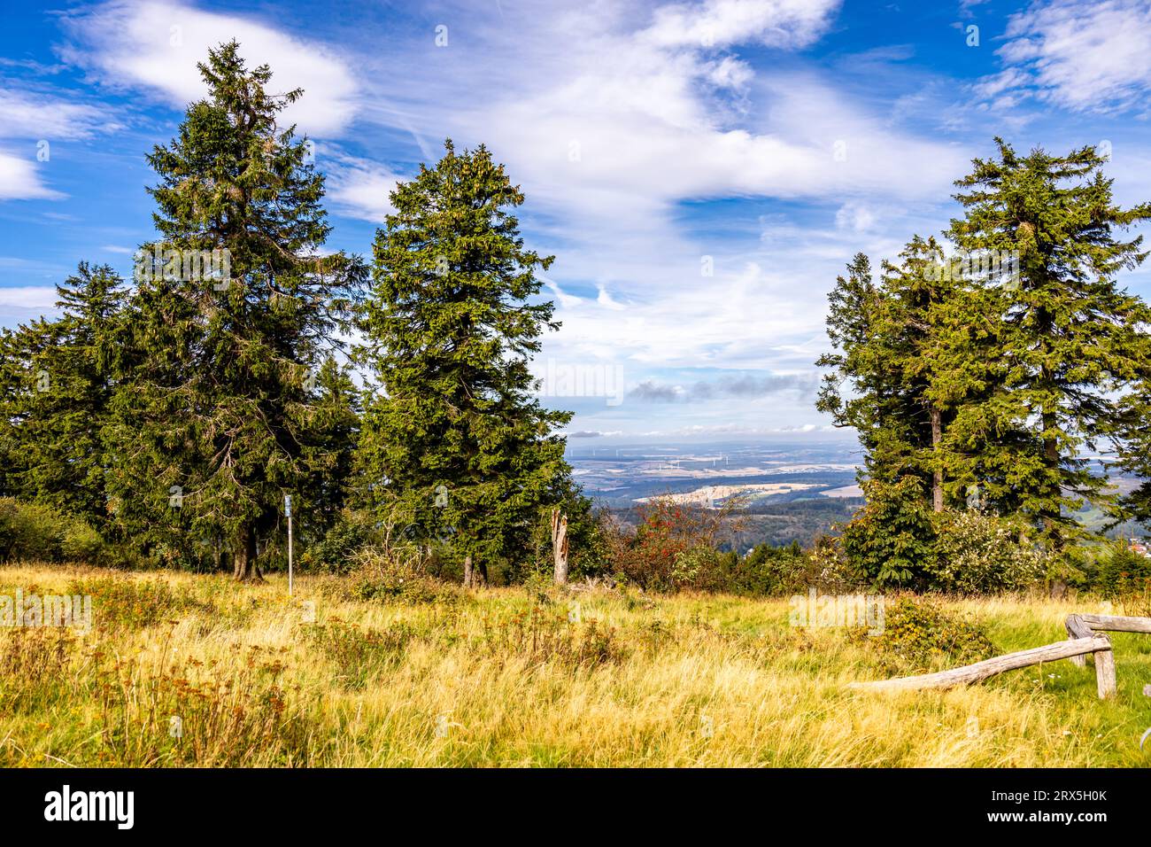 Beautiful hike through the Hochtaunus at the Feldberg on a beautiful 