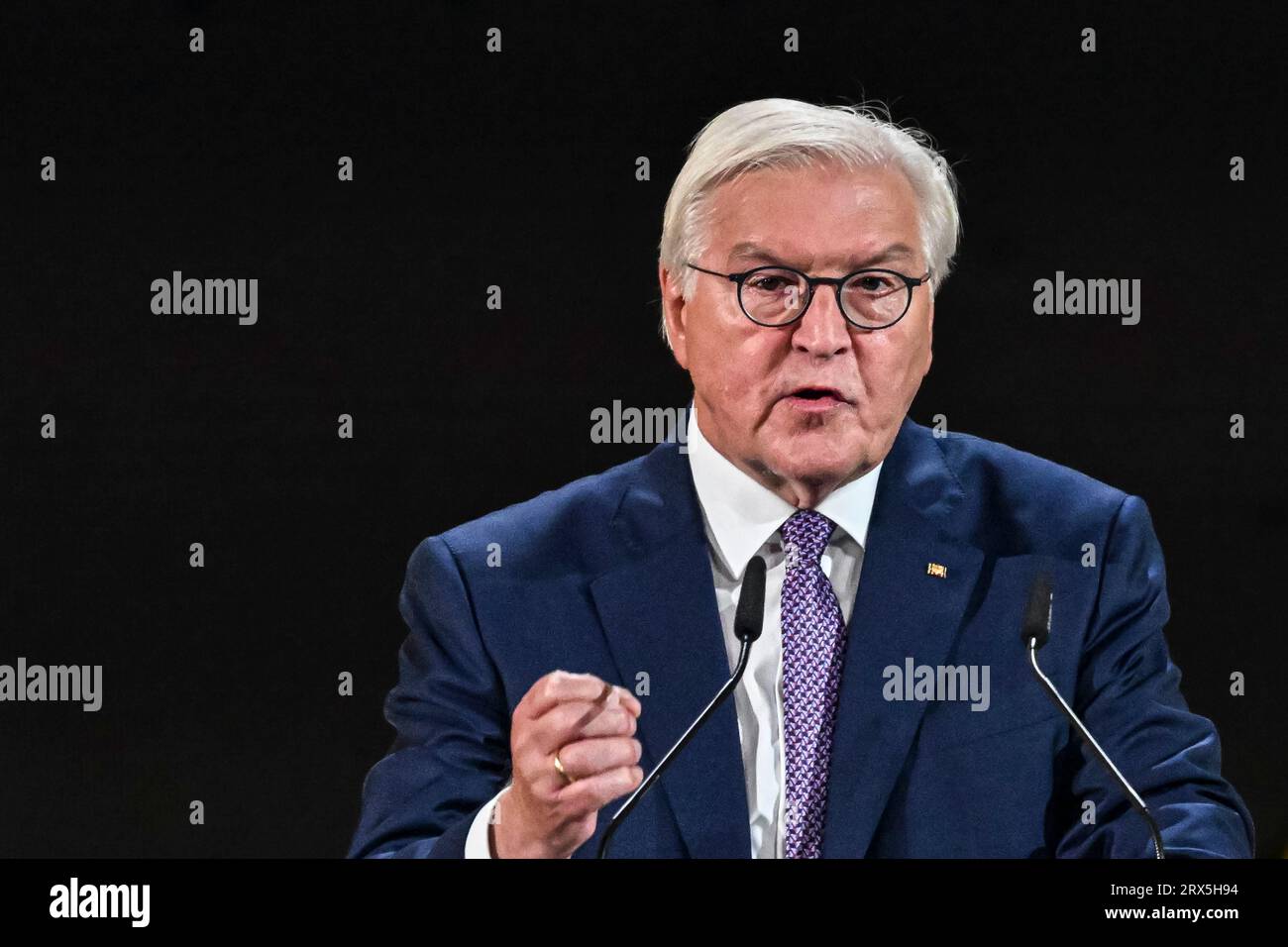 FrankWalter Steinmeier, German President, speaks on podium, Düsseldorf