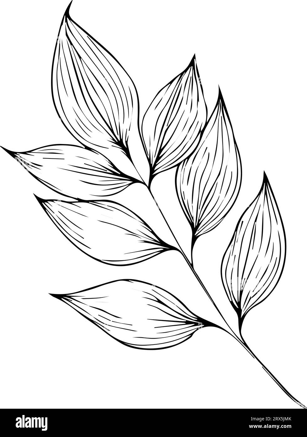 botanical background with natural leaf collection, illustration pencil