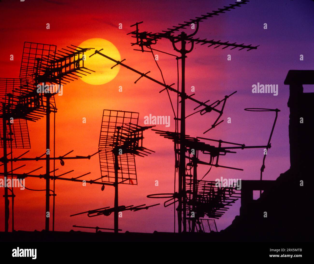 Antenna wood in the sundown, television masts on the roof, residential