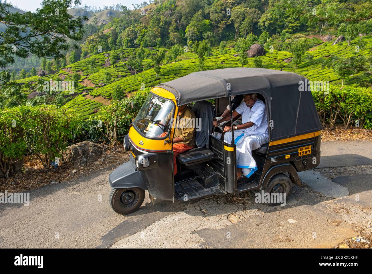 Autorickshaw rides through Pothamedu tea plantation, Munnar, Kerala, India Stock Photo