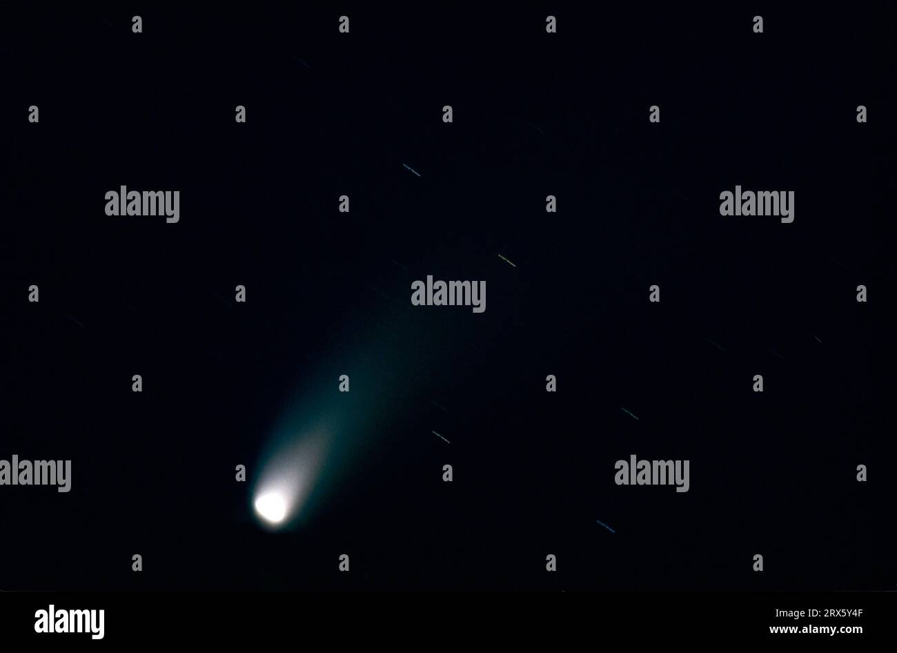 Comet Hale-Bopp in the night sky, Schleswig Holstein 1997, Germany Stock Photo