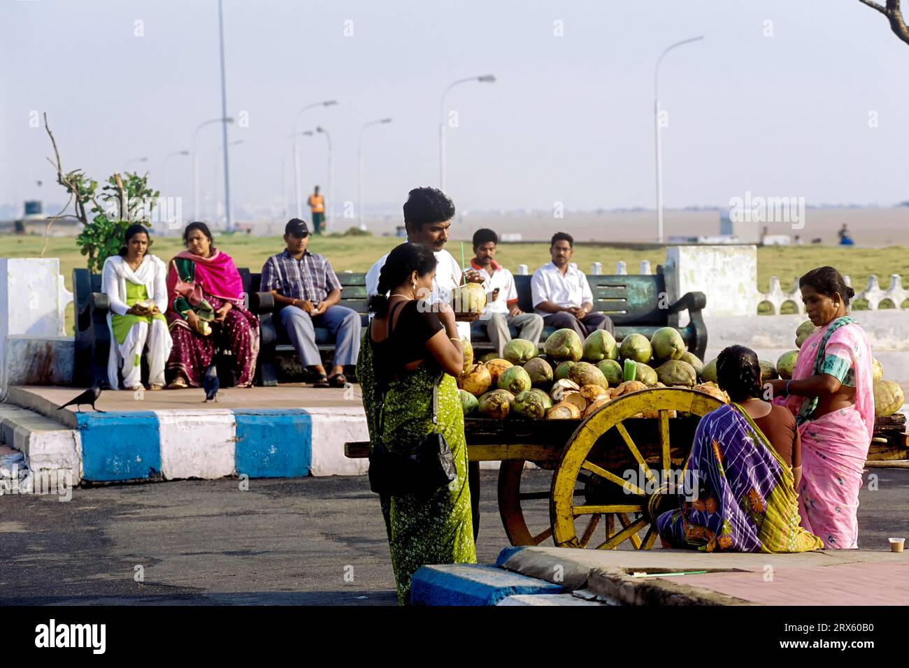 Indian tender coconut hires stock photography and images Alamy