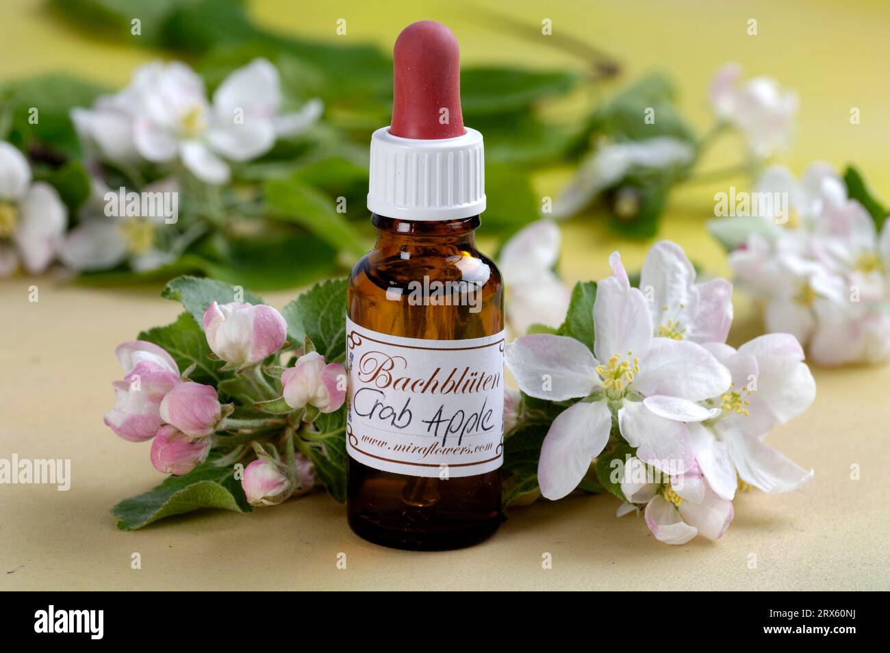 Bottle with Bach Flower Drops, 'Crab Apple' (Malus pumila), Bach
