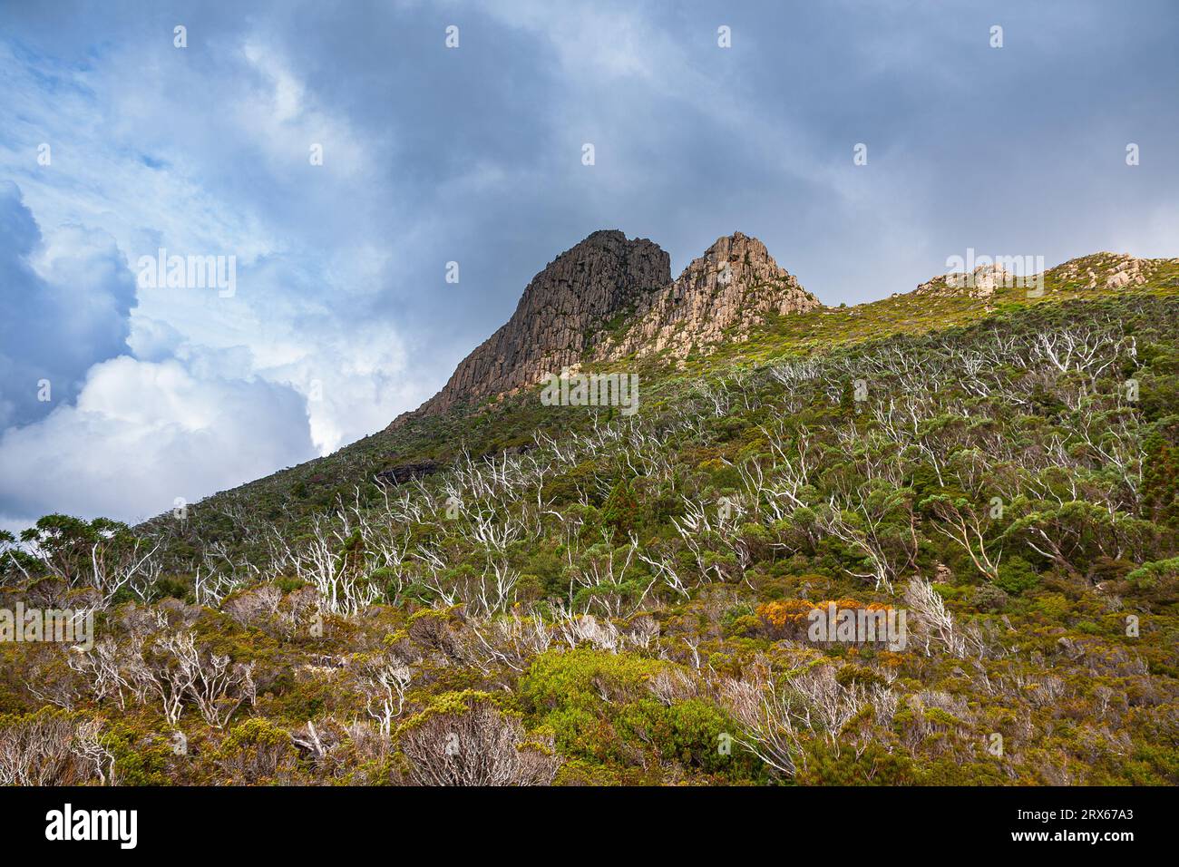 Stunning view of the Cradle Mountain, Tasmania, Australia Stock Photo ...