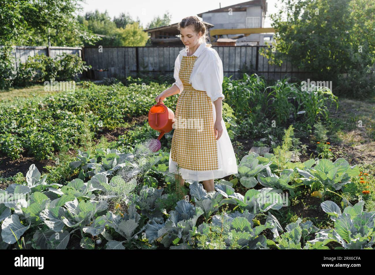 Female gardener watering plants hi-res stock photography and images - Alamy