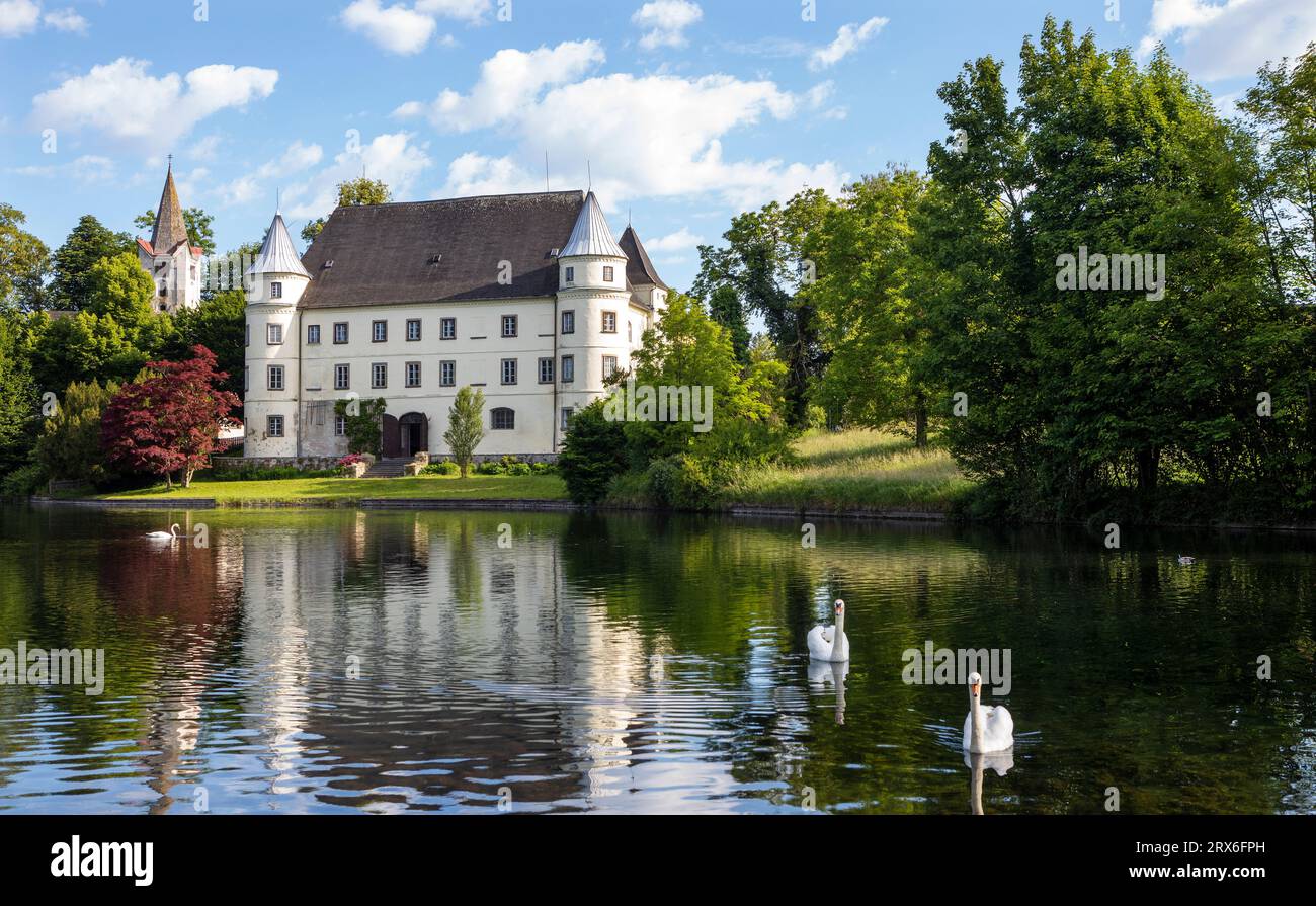 Austria, Upper Austria, Sankt Peter am Hart, Swans swimming in Mattig river with Hagenau Castle in background Stock Photo