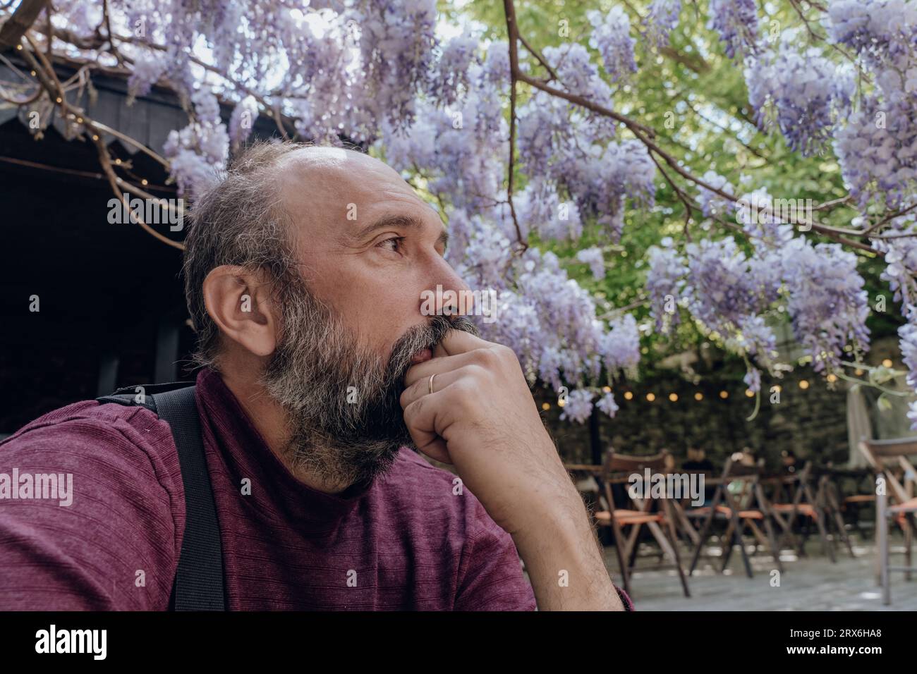 Contemplative man under wisteria tree at sidewalk cafe Stock Photo