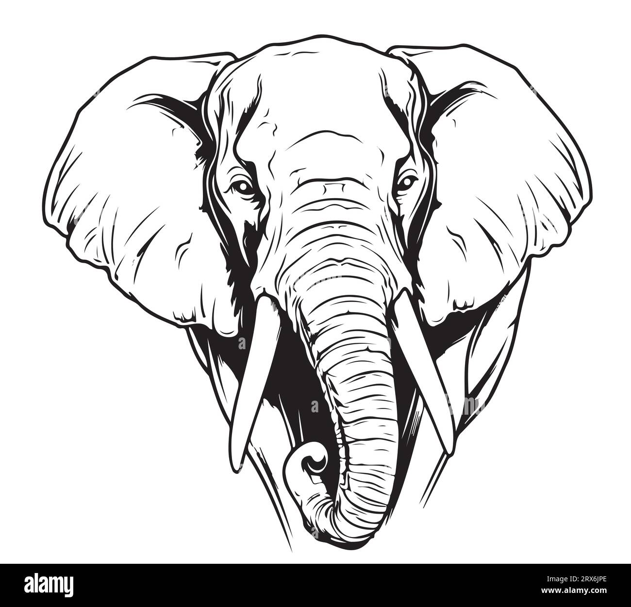 Elephant Face Sketch Hand Drawn Graphic Safari Animals Vector Stock elephant-face-sketch-hand-drawn-graphic-safari-animals-vector-stock