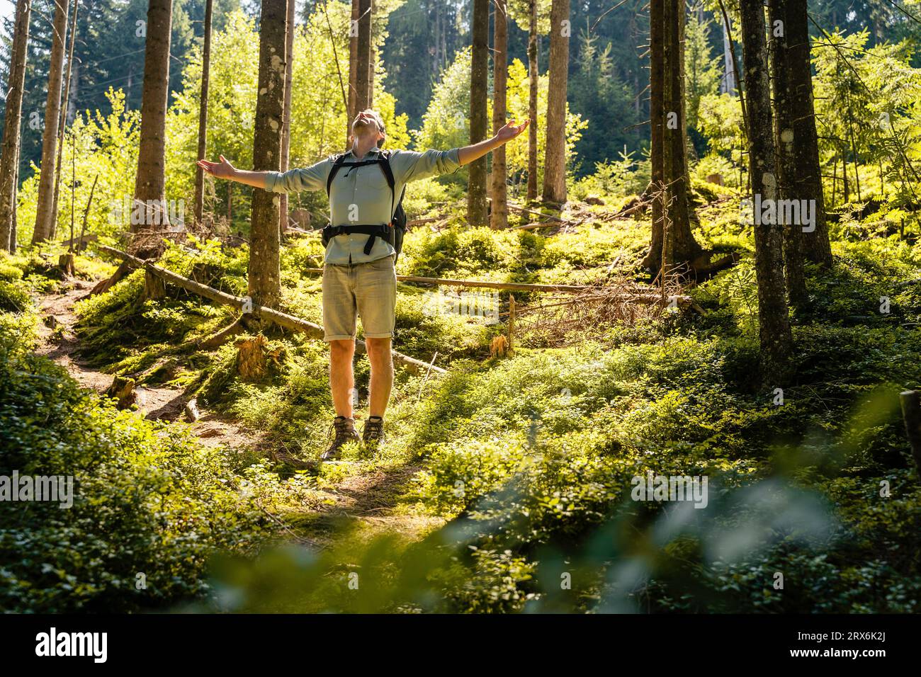 Man with arms outstretched standing in forest Stock Photo
