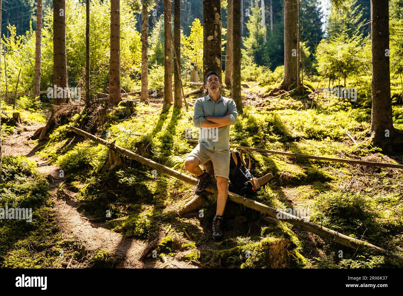Tree arms hi-res stock photography and images - Alamy
