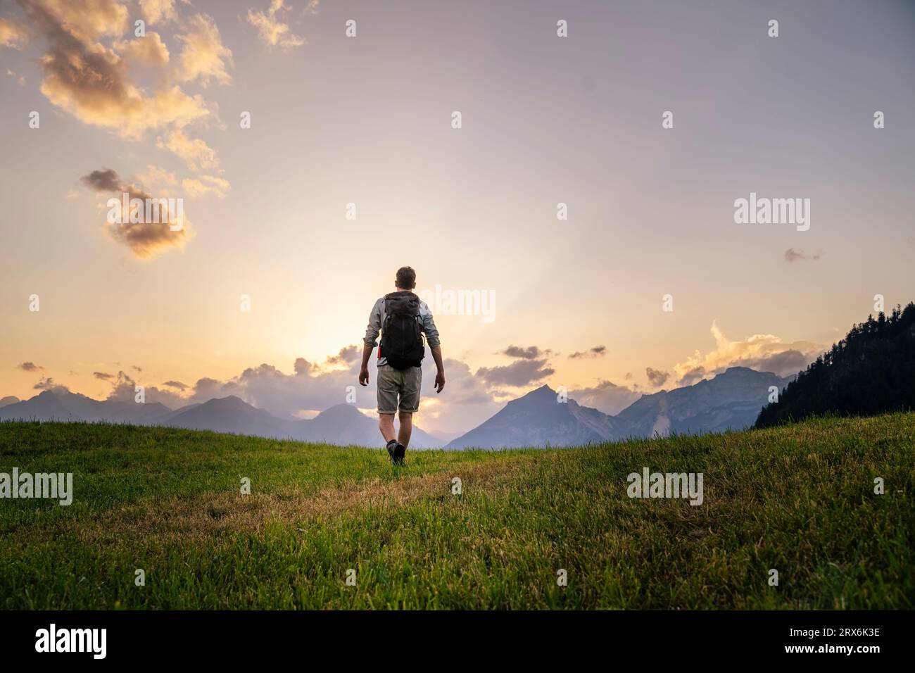 Hiker exploring in meadow at sunset Stock Photo