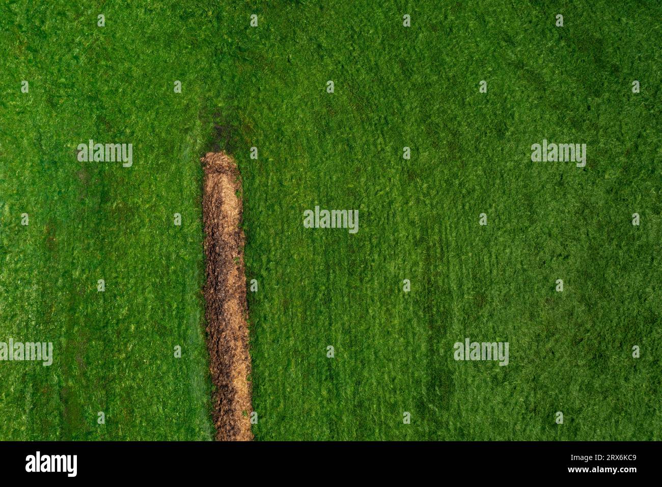 Austria, Upper Austria, Zell am Moos, Drone view of dung heap in green field Stock Photo