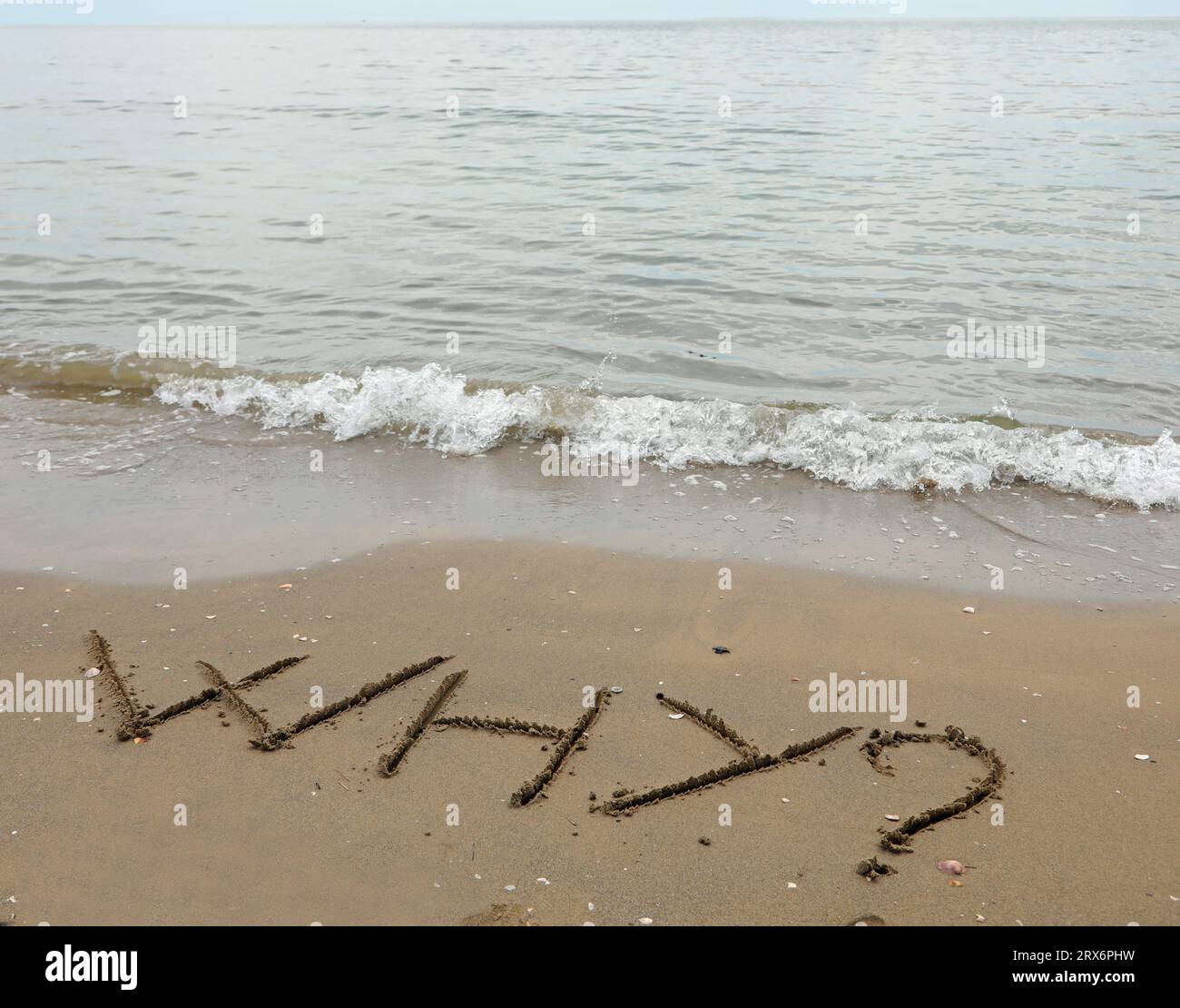 TEXT WHY with the question mark in capital letters written on the sand ...
