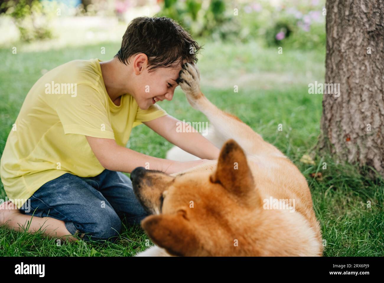 Happy boy playing with dog lying on grass in backyard Stock Photo