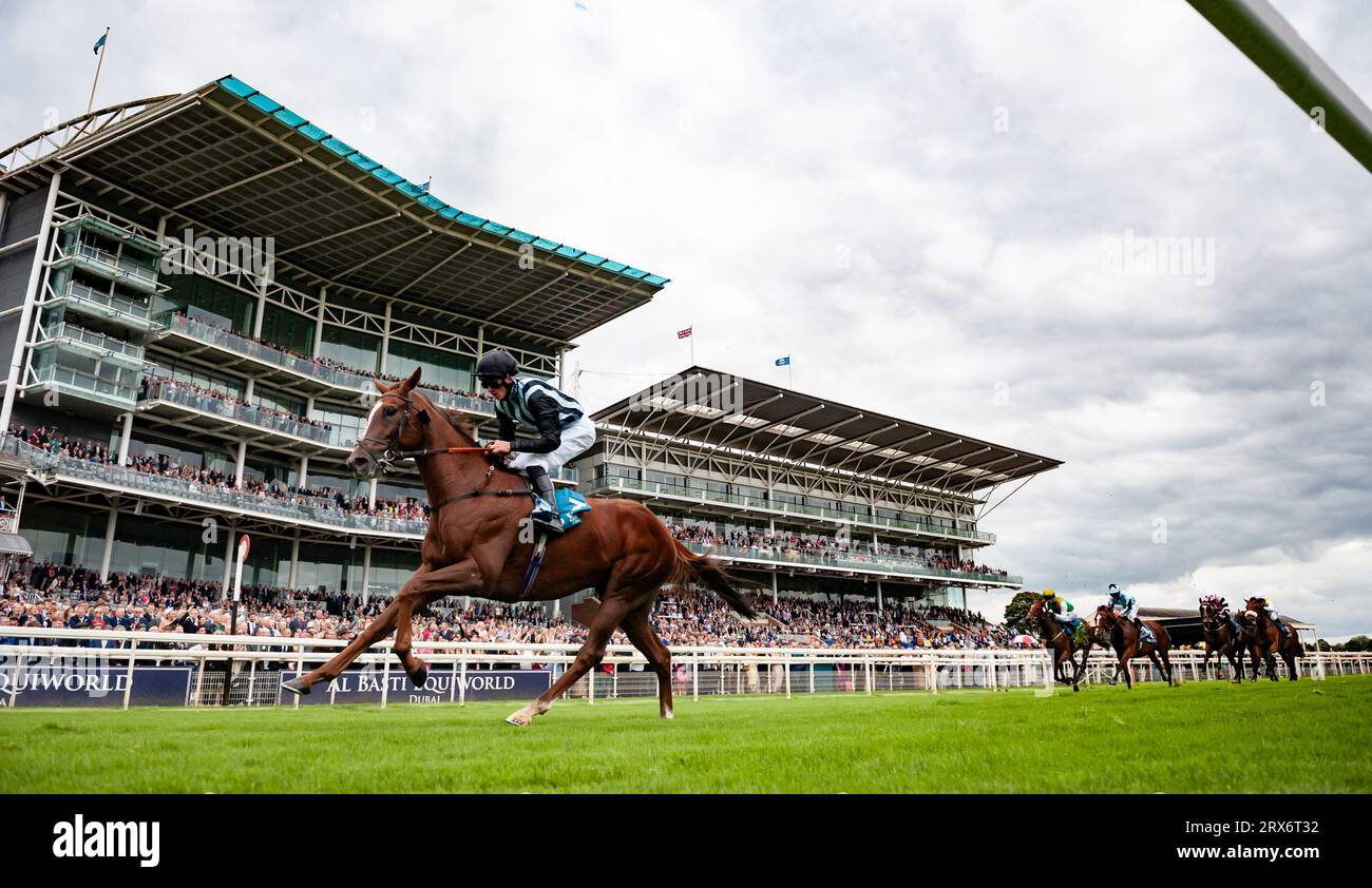 York Racecourse, York, United Kingdom, Saturday 23rd September 2023; York, UK. 23rd Sep 2023. Palamon gives jockey Alec Voikhansky his first winner at York as they take the jigsawsportsbranding.co.uk Stakes in fine style for trainer Richard Hannon and owners Mr Michael Pescod & Mr Justin Dowley. Credit: JTW Equine Images/Alamy Live News Credit: JTW Equine Images/Alamy Live News Stock Photo