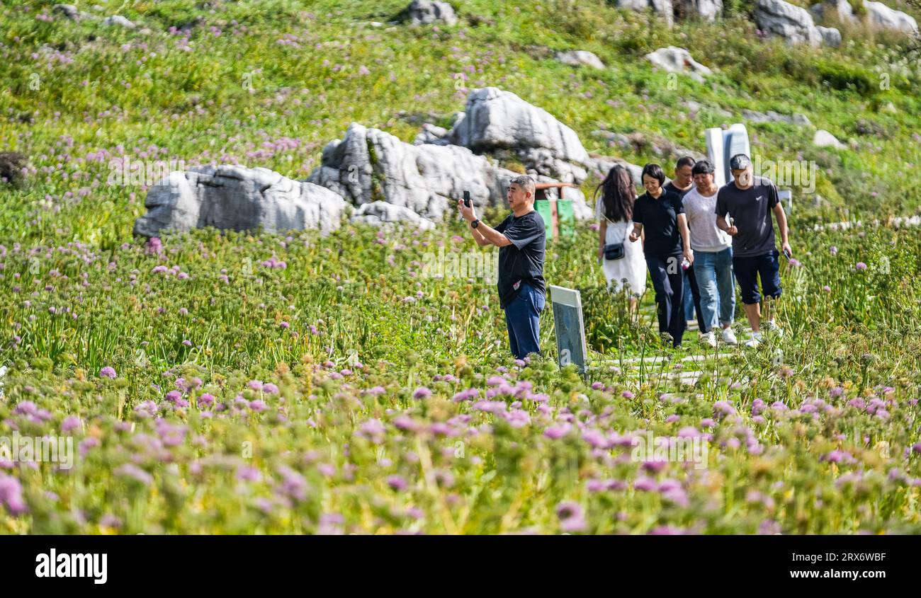 Liupanshui, China's Guizhou Province. 22nd Sep, 2023. Tourists enjoy the scenery of a scenic area with blooming leek flowers in Dawan Township of Liupanshui City, southwest China's Guizhou Province, Sept. 22, 2023. Credit: Tao Liang/Xinhua/Alamy Live News Stock Photo