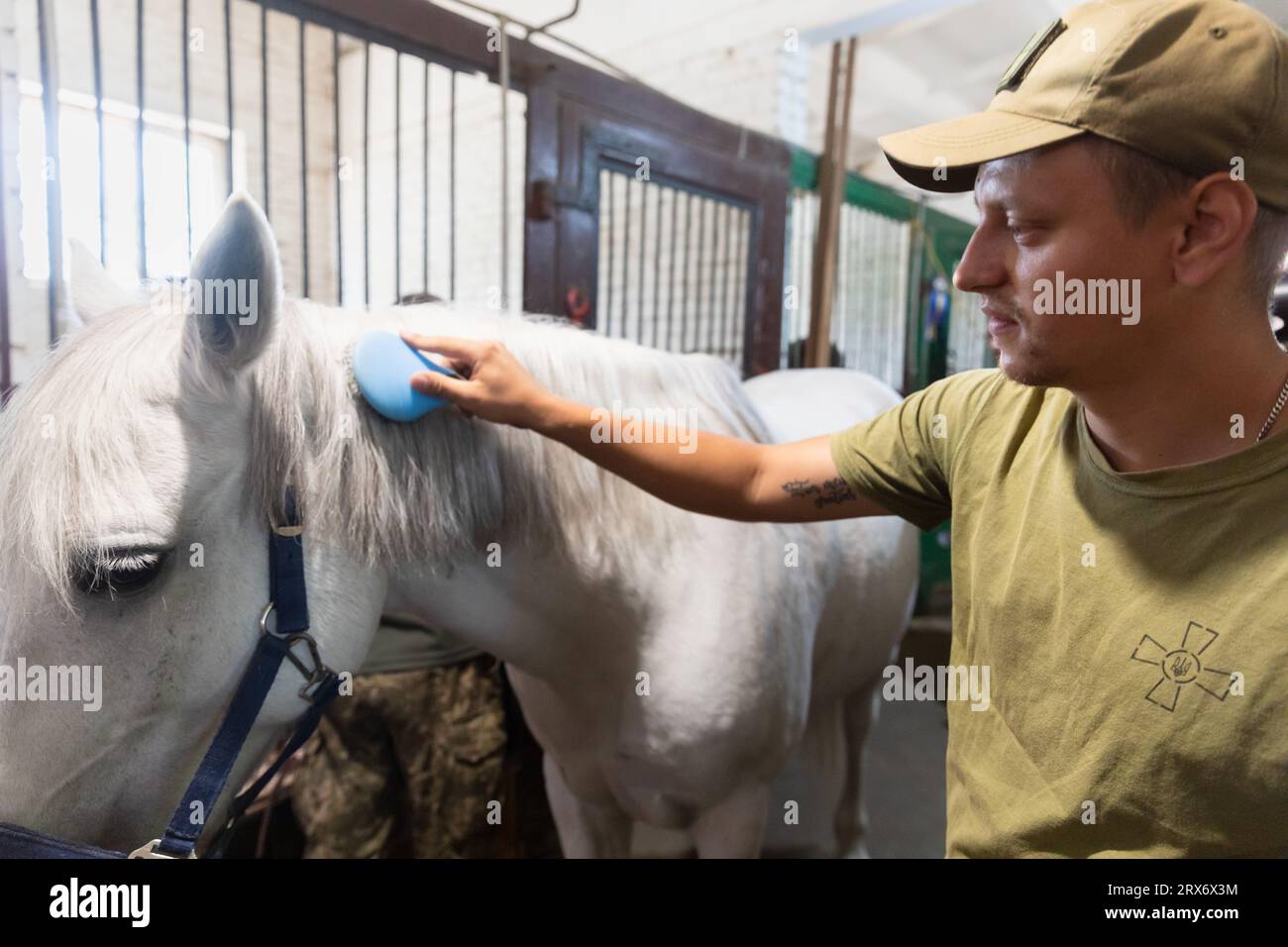 Hippotherapy session hires stock photography and images Alamy