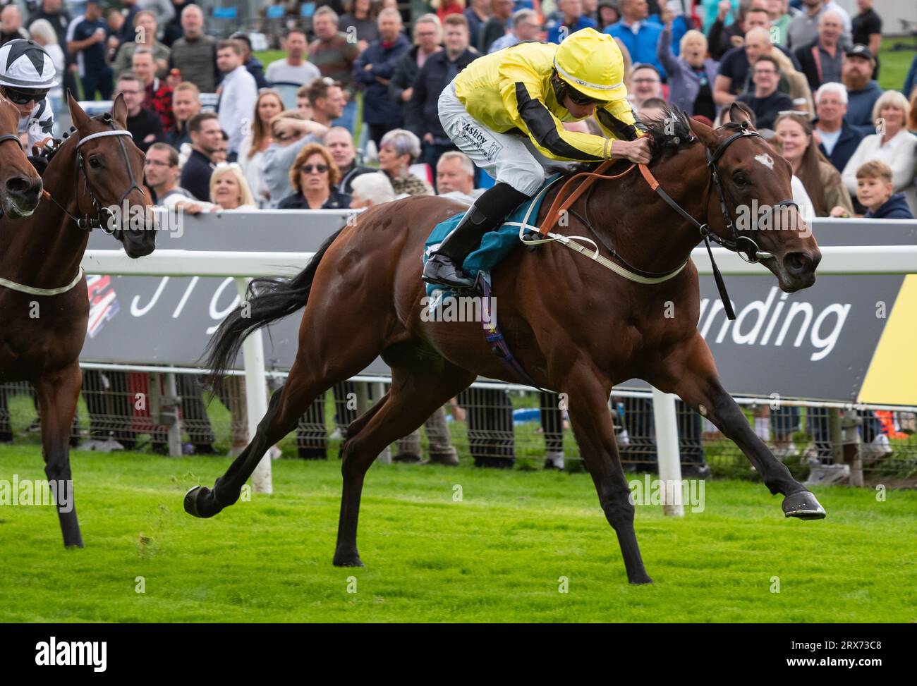 Saeed bin mohammed al qassimi hires stock photography and images Alamy