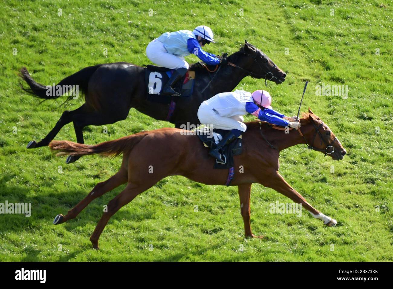 Newbury, UK. 23rd September 2023. Feigning Madness (pink cap), ridden by Hector Crouch wins the 15.50 Norris Hill School EBF Novice Stakes ahead of New Chelsea, ridden by Laura Pearson at Newbury Racecourse, UK. Credit: Paul Blake/Alamy Live News. Stock Photo