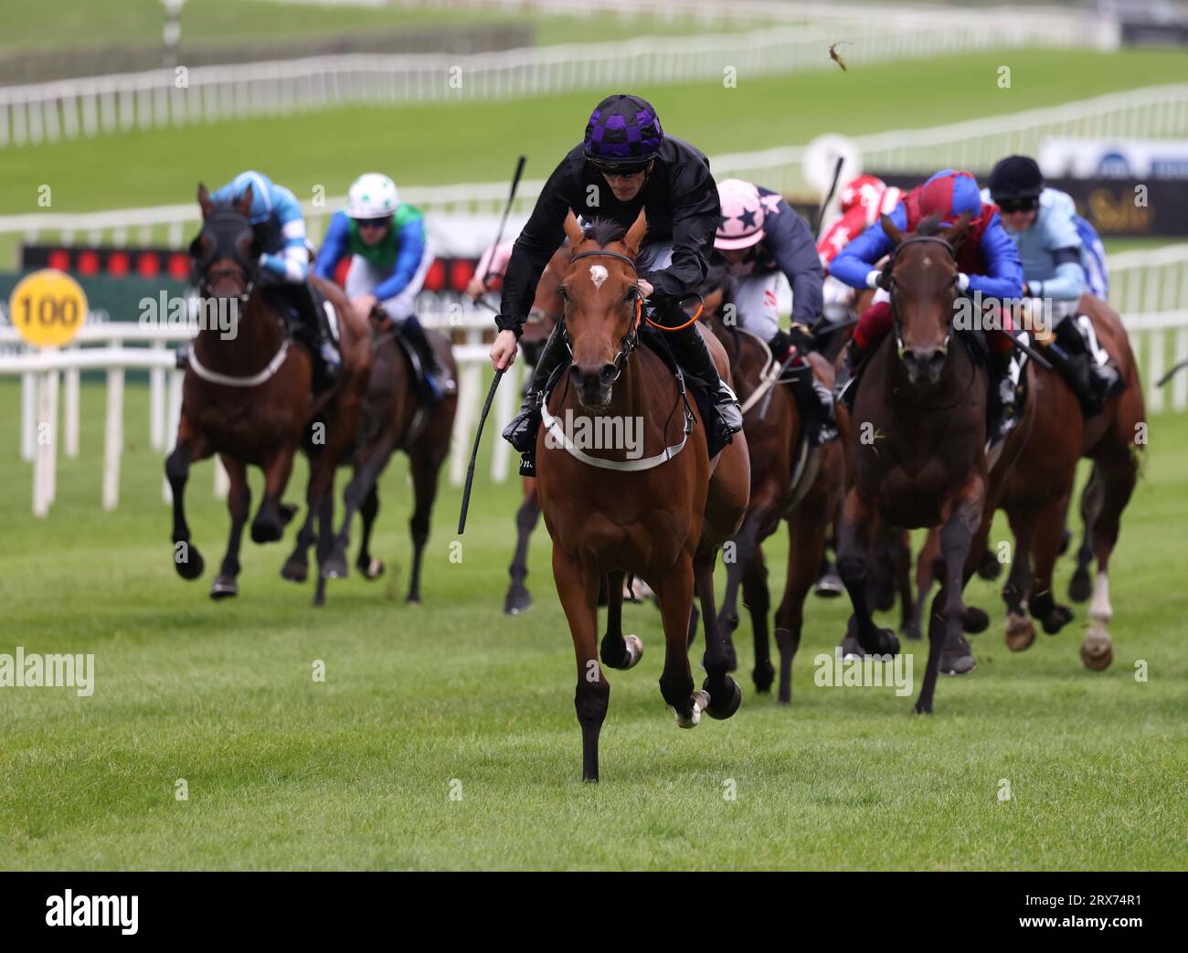 One look curragh hi-res stock photography and images - Alamy
