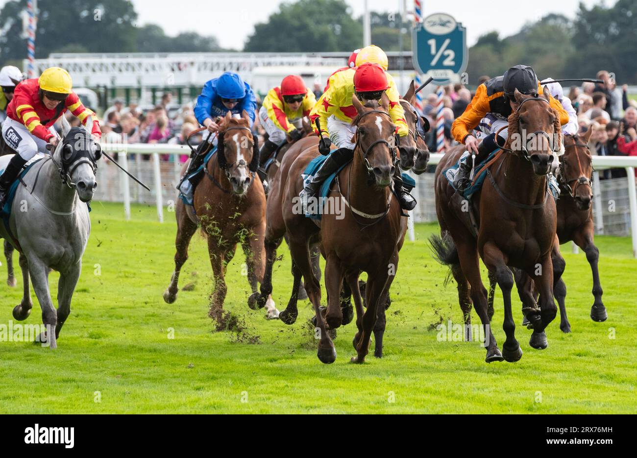 York Racecourse, York, United Kingdom, Saturday 23rd September 2023; Aphelios and jockey Daniel Muscutt win the Jigsaw Sports Branding Handicap at York Racecourse for trainer Michael Appleby and owner The Horse Watchers. Credit: JTW Equine Images/Alamy Live News Stock Photo