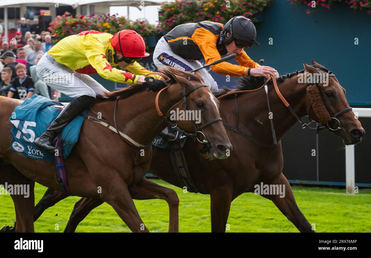 York Racecourse, York, United Kingdom, Saturday 23rd September 2023; Aphelios and jockey Daniel Muscutt win the Jigsaw Sports Branding Handicap at York Racecourse for trainer Michael Appleby and owner The Horse Watchers. Credit: JTW Equine Images/Alamy Live News Stock Photo