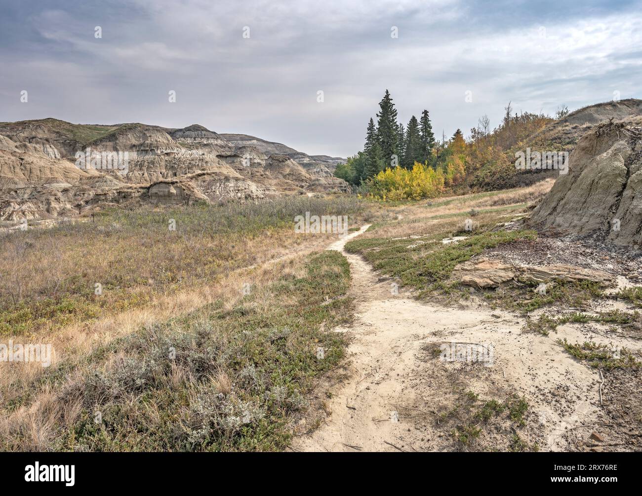 Hiking trail in the badlands of Horseshoe Canyon near Drumheller